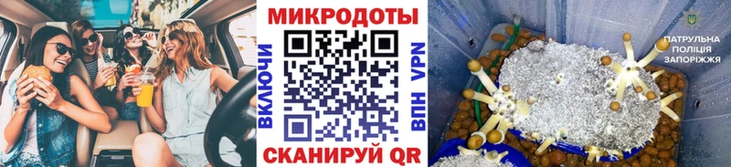 Псилоцибиновые грибы прущие грибы  наркота  гидра как войти  Магас 